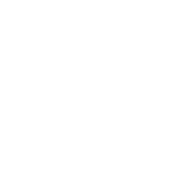 feature-item-2