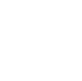 feature-item-1
