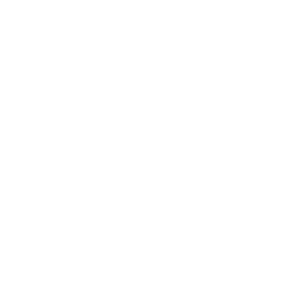 feature-item-1